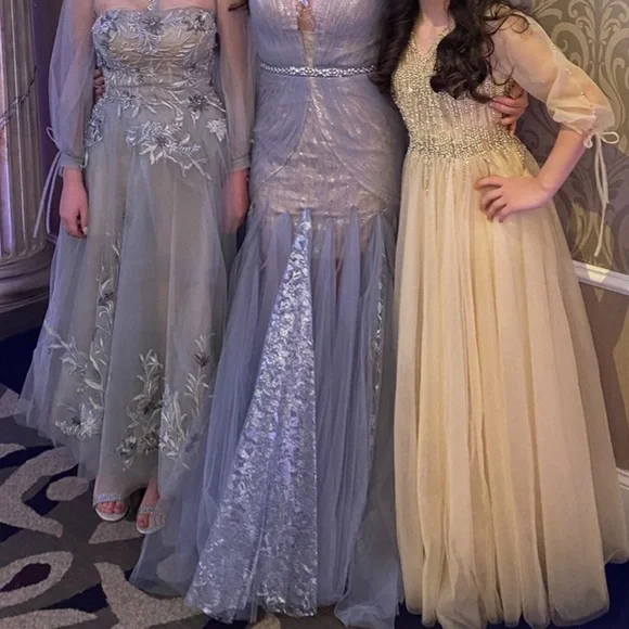 Tarik Ediz 96043 Illusion Long Sleeve Lace Bodice Tulle Mermaid Gown - Picture 5 of 12